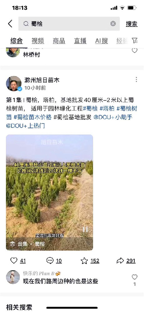 抖音关键词排名最新案例